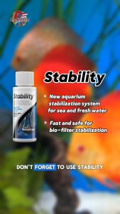 🇸🇬 GOBETTA SEACHEM STABILITY 30ML BOTTLE (REPACKAGED) 100%ORIGINAL NEW TANK STABILIZATION SYSTEM FOR MARINE AND FRESHWATER FISH AQUARIUM SHOP AQUATIC SHOP FISH SINGAPORE ONLINE SHOP FISH TANK SHOP AQUARIUM SUPPLIES FRESHWATER FISH STORE SALTWATER FISH