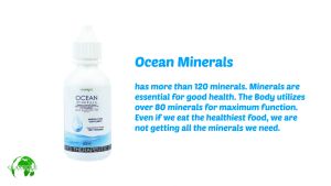 Immune Booster Classique Ocean Minerals Ionic Electrolytes 1BOTTLE 30ML
