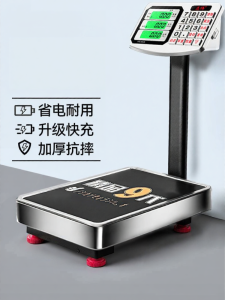 Precision Electronic Scale