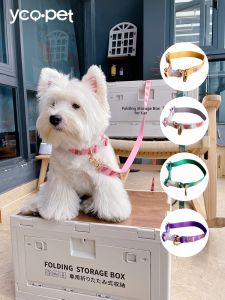 YCQPET | Bear Design Shock-Preventing Dog Collar