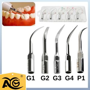 AG | AG 5Pcs/Pack Dental Scaler Tips Ultrasonic Scaler Tip Fit EMS Woodpecker Dental Ultrasonic Scaler Scaling Tip Dentist Instrument