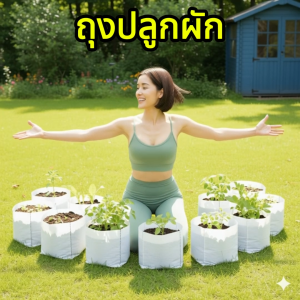 พร้อมส่ง ถุงปลูกผัก ถุงเพาะปลูก ถุงแสนดี กระถางผ้า Grow Bag ระบายอากาศดี น้ำหนักเบา ยืดหยุ่น ระบายน้ำได้ดี Wanthai ขายหัวลิลลี่ ว่านสี่ทิศ ต้นไม้ เมล็ดดอกไม้