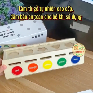 Bộ Thả Hình Khối + Thẻ Logic | Giúp Bé Phát Triển Tư Duy Phân Tích Học Hình Ảnh Và Màu Sắc Thông Qua Trò Chơi Gỗ