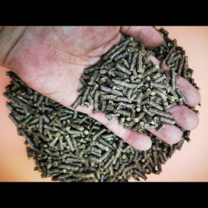 GOLD COIN Makanan Arnab 703P/Premium Rabbit Food Feed Pellet Diet 9kg(Repack)