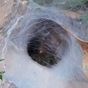 CAFE RONN 100% ถุงซิปล็อค กาแฟบด 100% อาราบิก้า