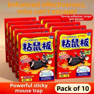 Joya | Strong Adhesive Rat Glue Trap Home Use