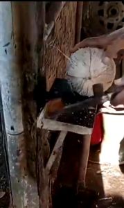 Alat Pengupas Batok Kelapa/ Pencukil Batok Kelapa/ Alat Pembuka Batok Kelapa