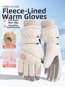 Insulated Waterproof Windproof Thickened Touchscreen Gloves