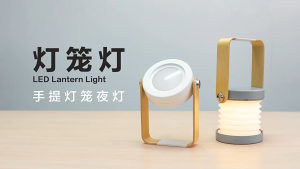 2 in 1 Night Light Table Lamp LED Touch Dimmable Deformable Reading Portable Lantern Lamp USB Rechargeable Gift Idea