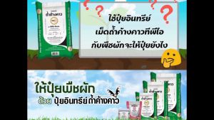 ปุ๋ยถ้ำค้างคาว TPI ปุ๋ยอินทรีย์เม็ดถ้ำค้างคาว ตราทีพีไอ ขนาด 1 กิโลกรัม
