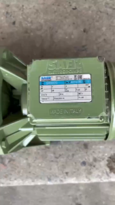 SAER Italy Original Self Priming Jet Pump 1HP Water Booster Pump Shallow Well Jetmatic