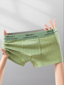 Baisina | Antibacterial Breathable Boxer Briefs for Teen Boys