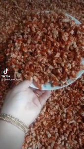 ĐẦU TÔM BIỂN SẤY KHÔ THIÊN NHIÊN- ĐẶC SẢN MINH TRIẾT