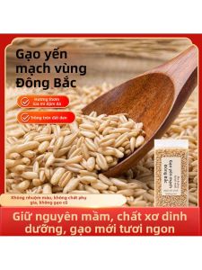 Yến Mạch Khu Vực Đất Đen Đông Bắc Mùa Mới Lương Thực Thô Sức Khỏe