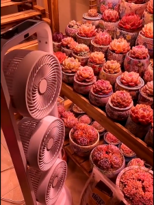 Xingzuan Three Head Electric Fan Three-Head Air Circulation Fan Floor-to-ceiling Plants AC Household Ventilation Fans Camping Fan Camping Dan Silent Vertical Household 3 Head Gift