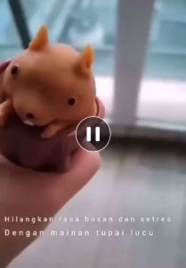 Mainan Pop it Squishy Pohon Tupai Karet Silikon /Mainan Duck /Mainan Tupai Lucu Remasan / Mainan Bebek / Pop It Pohon Lucu