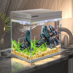 sunsun | Filtering Oxygenator Self-cycling Fish Tank Desktop Small Glass
