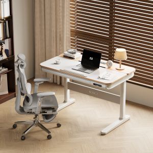 Loctek | Dual Motor Smart Electric Adjustable Desk