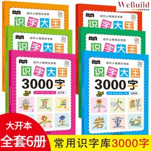 识字大王3000字（全套5册）大开本幼升小常用识字库 幼儿童学前看图识字基础书 Children Chinese Character Learning Picture Book pinyin Buku WeBuild