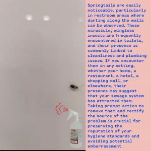 Toilet Pest Killer (not for Drain Fly Infestation)