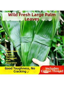 Dry Jumbo Bamboo Leaves For Dragon Boat Festival