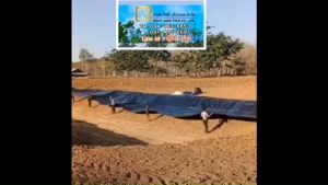 ผ้ายางปูบ่อปลา รุ่นแผ่นกว้าง 11.9 ม. หนา 0.30มิล เกรด A กัน UV (สีดำ ทนแดด 4 - 7 ปี) เป็นพลาสติก PE ปูบ่อ ขนาดใหญ่ๆ เลือกความยาวได้