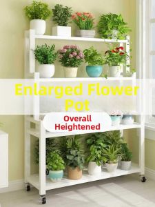 MOLORE | Portable Multi-tier Ladder Shelf With Wheels