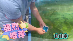 【Thailand Stock】100g Pool Gel CTX gel Pool Clarifier Gel Cube swimming pool 100g 30% algae chemical water treatment Astralpool Crystal Block CTX PoolGel 100g for Swimming Pools วานิชโพลียูรีเทน สระน้ำ