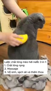 Lược chải lông chó mèo 3 trong 1 Lược chải lông thú cưng tích hợp massage và xịt nước làm sạch kèm cáp sạc USB