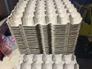 10 cái Vỉ giấy đựng trứng khay trứng giấy- Hàng nhập khẩu Malaysia mới cứng (100%)- dùng đựng trứng tô màu trồng cây nuôi dế..