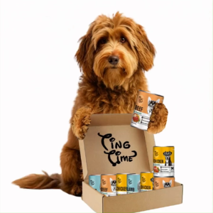 Ting Time Premium Dog Canned Food 375g