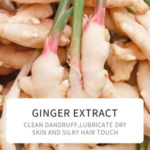 Kondisioner Shampo Jahe Penumbuh & Pengkondisi Rambut Menghilangkan Rambut Kusut Memperbaiki Folikel yang Rusak
