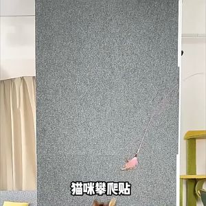 พร้อมส่ง พรมแมว แผ่นรับเล็บแมว พรมเช็ดเท้าปูนพื้น เพื่อกันรอยขีดข่วน แปะผนังให้น้องแมวลับเล็บ กันลื่น . ดีไซน์น่ารัก ขนาดใหญ่ 30X100 CM. มีหลายสีให้เลือก
