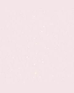 Waypro Universal 4 in 1 Multi-functional Pen