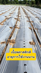 พลาสติกคลุมดิน 400หลา(360ม) พลาสติกคลุมแปลง พลาสติกดำ/เงิน พลาสติกกันวัชพืช กันวัชพืช ปลูกผัก ปลูกผลไม้ เกรดAAA ผสมUV