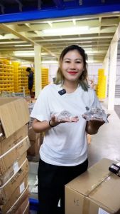 เต่ามงคลคริสตัล เครื่องประดับดึงดูดความมั่งคั่ง สำหรับเต่าตกแต่งจุดชมวิว ของขวัญ