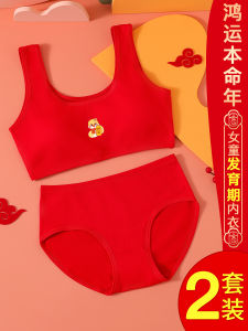 Red Cotton Underwear Set for Girls Year of Snake Zodiac Pure Cotton Underpants Development Period Primary School Children