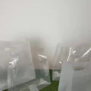 50pcs Plastic Bag With Handle Cake Plastic Bag Gift Bag Wedding Candy Bag Portable Shopping Bag Food Bag