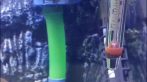 จัดส่ง 24 ชั่วโมง Sweet Belly เทอร์โมมิเตอร์ตู้ปลา ปรอทวัดอุณหภูมิน้ำในตู้ปลา แบบติดกระจก Aquarium Thermometer