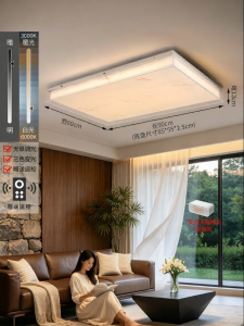 DGY | Bauhaus Retro Simple Ceiling Light