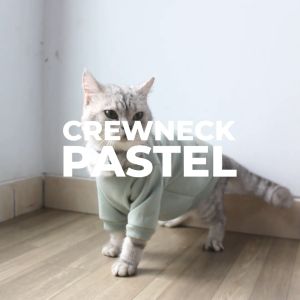 Baju Kucing Anjing Cowok Cewek Bulu Lucu Kecil - Bukipet Crewneck Pastel Series