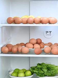 Timer Drawer-style Egg Storage Container
