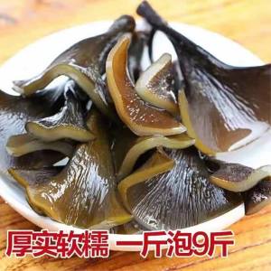 Chewy Thick Dried Kelp 1 piece