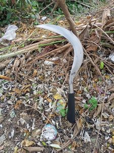 sabit rumput ranting jagung tebu dan lainnya super kualitas