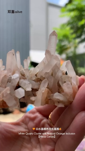 wholesaler johor 🧡 天然白水晶橘色共生晶簇 。 🍊天然形成 · 不染色 Natural White Quartz with Orange Mineral Base