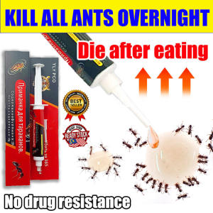 10 years without ants ants killer bait ubat semut paling berkesan ant bait Kill the entire ant nest racun semut paling kuat ubat semut Indoor ant killing fast and safe ant killer 蚂蚁药 10g