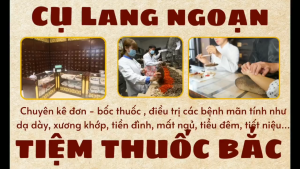 Trà túi lọc thảo dược bổ thận âm Lang Ngoạn giúp giảm lạnh chân tay tiểu đêm tiểu dắt thận hư thận yếu