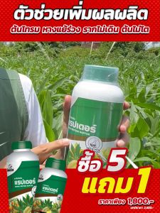 อะมิโนโปรตีนจำเป็นสำหรับพืช 18 ชนิด แรปเตอร์ ปูดังกล้วย ผสมสร้อย ทำให้ขั้วเลือดเปลี่ยนแปลง ลดการเหลือหน้าและแมลงศัตรู ปลอดภัยสำหรับสุขภาพ 100% รุ่นมี