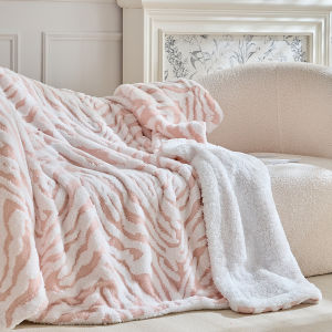 DREAM HOME | Luxurious Milk Velvet Thick Blanket