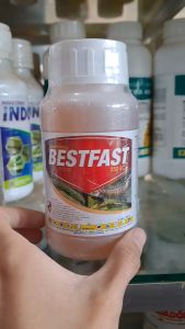 BESTFAST 250 EC: Insektisida Pengendali Hama yang Efektif